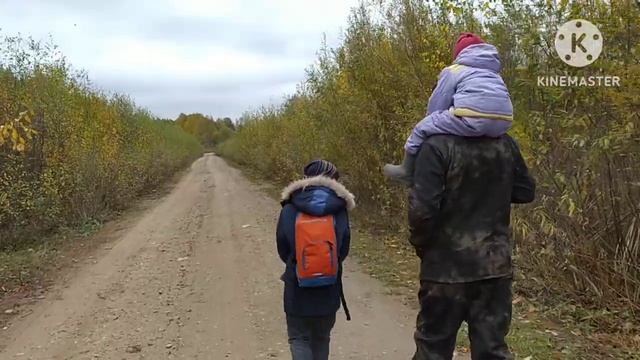 На болото по клюкву.