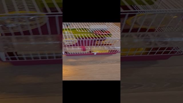 1000023195.mp4