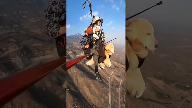 Уровень невозмутимости, к которому нужно стремиться