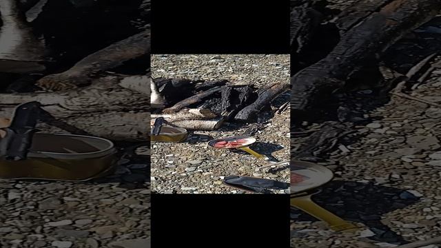 Официант долго приносит