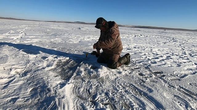 Разведка на жерлицы, интересный клев щуки!