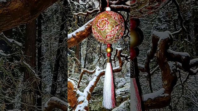 1000064570.mp4