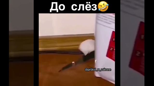 ДО СЛЕЗ.mp4