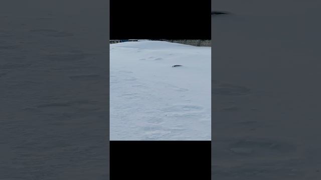 VID_20250103_115220.3gp