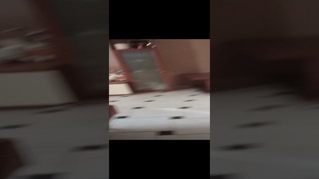 VID_20250103_12ллы