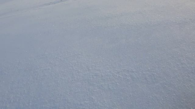 Как едит по целине в поле IRBIS DINGO T150