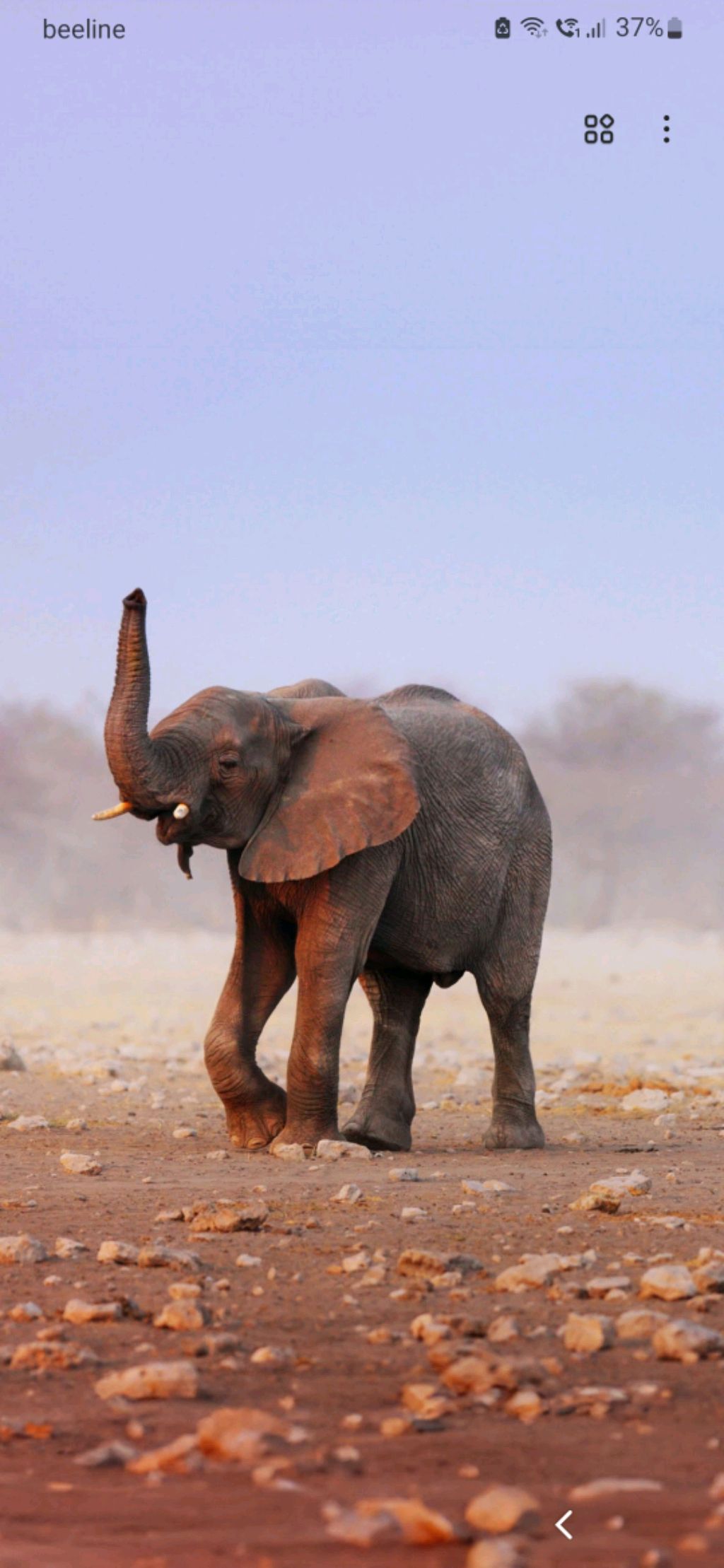 мы в зале не включаем видео моё и 2 часа примерно длится будет