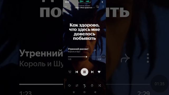 Слушаю песню Короля и Шута утренний Рассвет