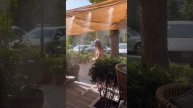 Когда очень ЖАРКО!#tiktok #tiktokvideo #рек #shortsvideo #tiktokviral #shortvideo #trending #trend