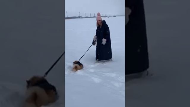 Рождённые 2-го числа