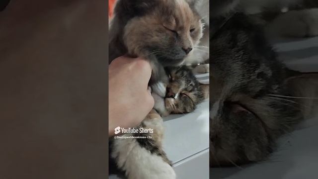 1000131086.mp4