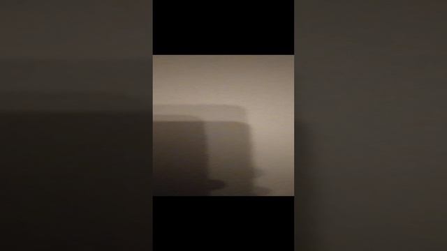 VID_20250103_174419.mp4