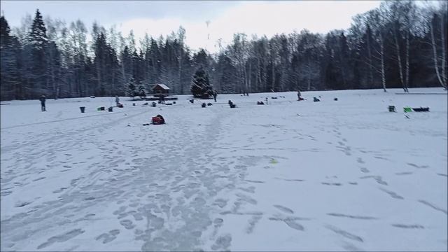 Охотимся на форель в полях. Нижний пруд. Клёвое место Лосиный остров.