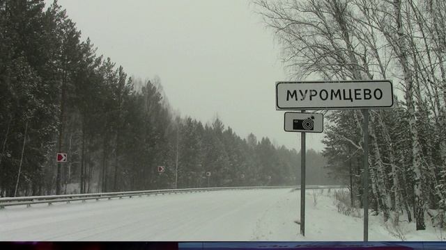 Муромцево 3 января 2025г Пеший туризм...