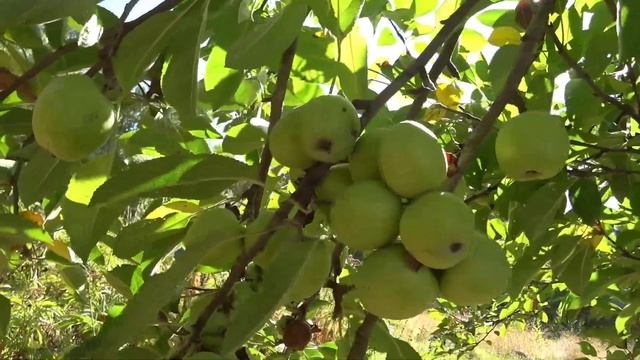 Сбылась моя мечта!!!