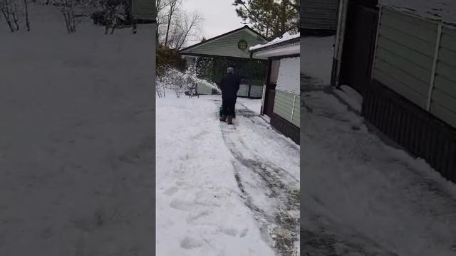 VID-20250103-WA0005.mp4