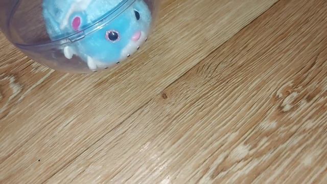 Говорит. Бегает и поёт! Милый хомячок Zuru Hamster Mania. РАСПАКОВКА