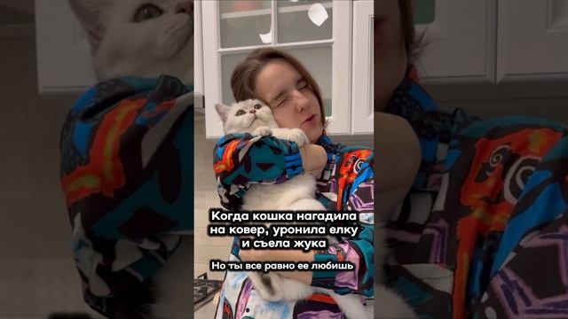 Ну а как с котами иначе. Люблю ее, даже такой.♀️#кошка #котята #семьяблогеров