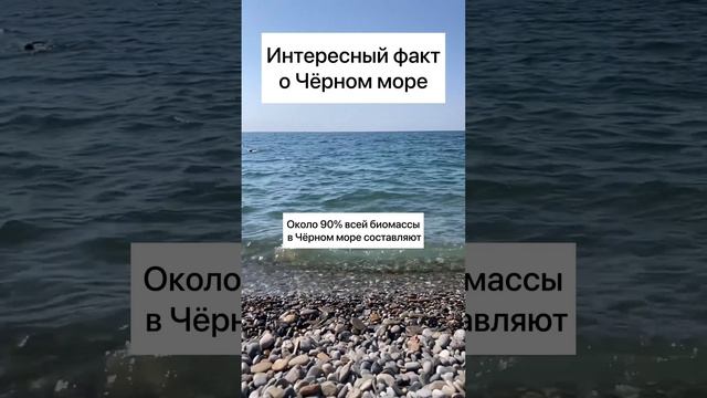 ИНТЕРЕСНЫЙ ФАКТ О ЧЕРНОМ МОРЕ, О КОТОРОМ ВЫ НЕ ЗНАЛИ