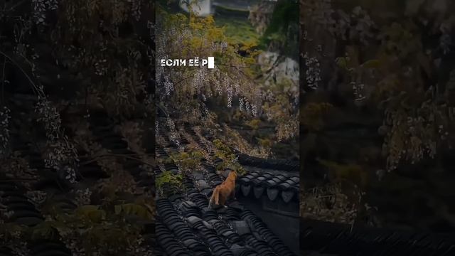 ПЕРЕСТАНЬТЕ ЭТО ДЕЛАТЬ #равновесие #антистресс #расслабление  #баланс