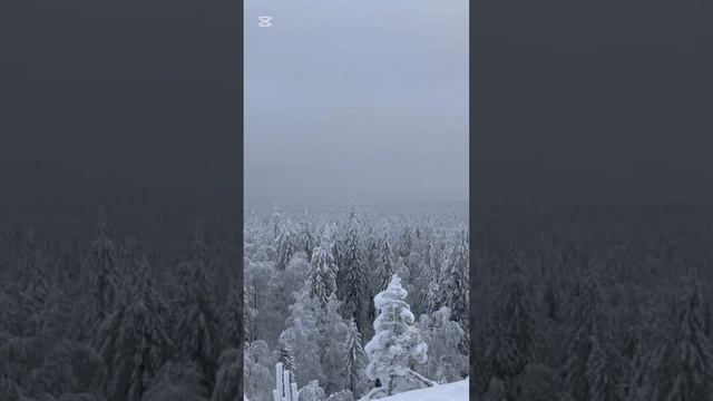 На Шунут.mp4