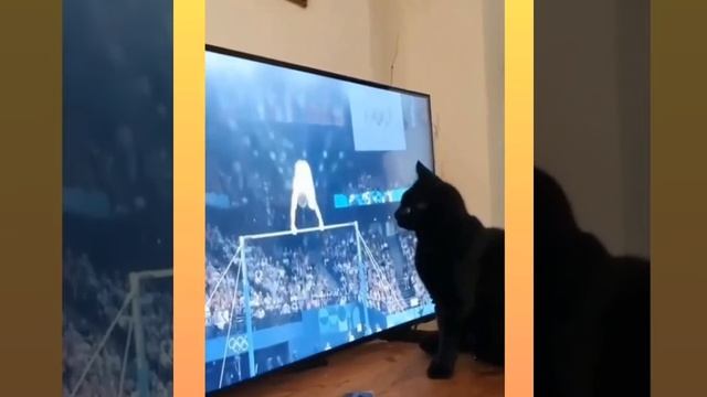 Помешал спортсмену