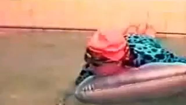 Махачкалинские Бродяги Разные песни по любому 1