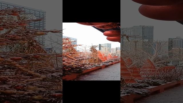 Под Новый год !
#Новыйгод