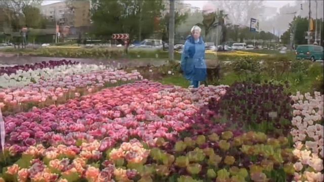 Мои прогулки по Москве (Медведково)