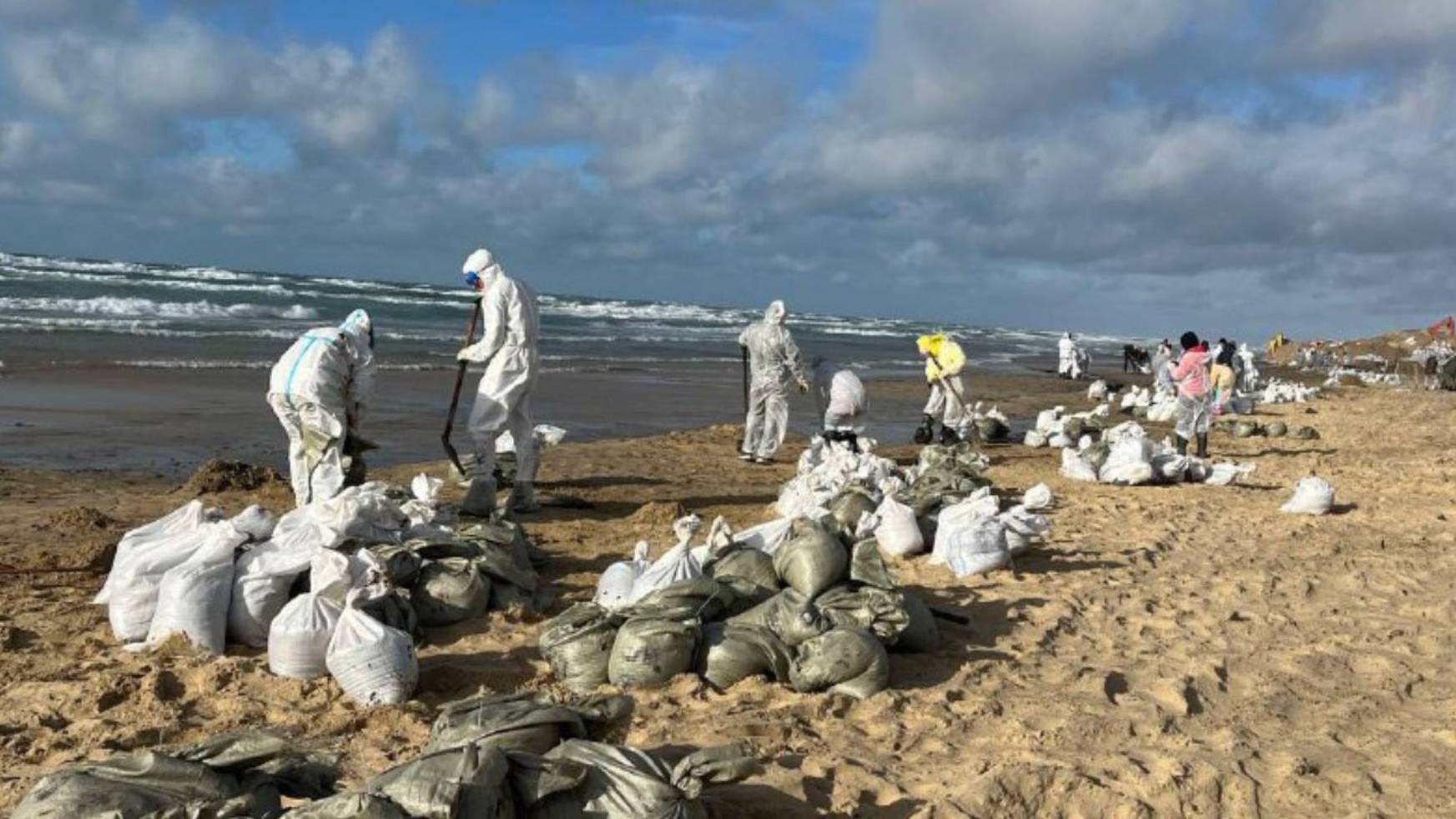 78 тысяч тонн загрязненного песка и мазута собрано на побережье Краснодарского края