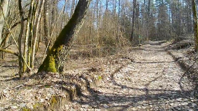 По верхней дороге к вело трамплину над головой.