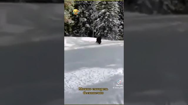 Можно смотреть бесконечно.mp4