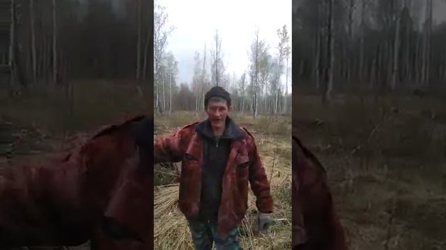Ушол садить вернулся в лоскуты
