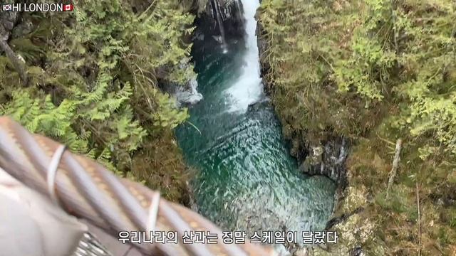 [vlog] 캐나다 산은 어떨까?🇨🇦 린 캐년 하이킹, 쉐어하우스 밴쿠버 라이프
