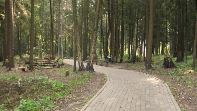 Обустройство лесопарка8