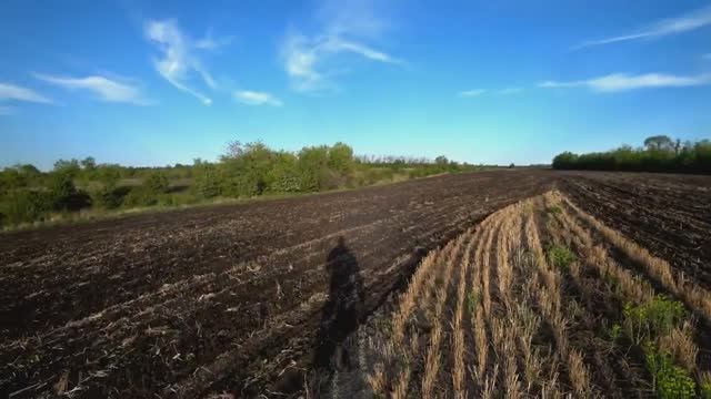 жом в мае для животноводства дискование стерни ячменя