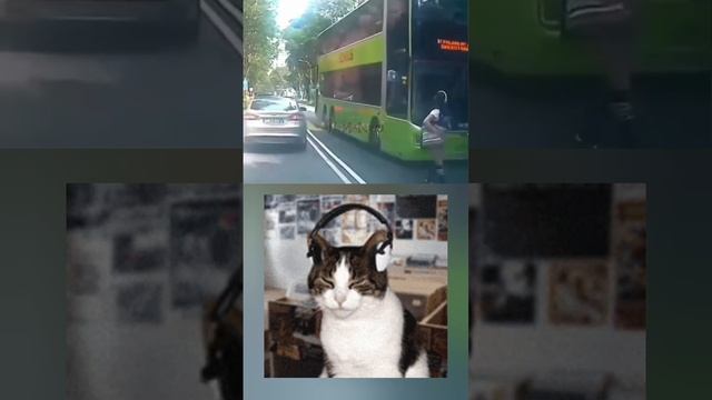 обезьяна с гранатой