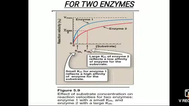 Enzymes part-3