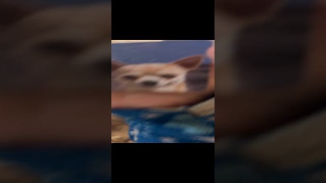 Какая отвратительная рожа