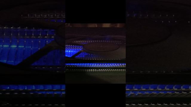1000007411.mp4