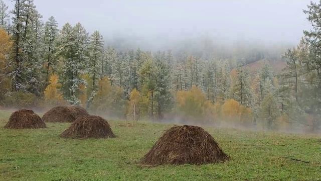 Родная сторонка