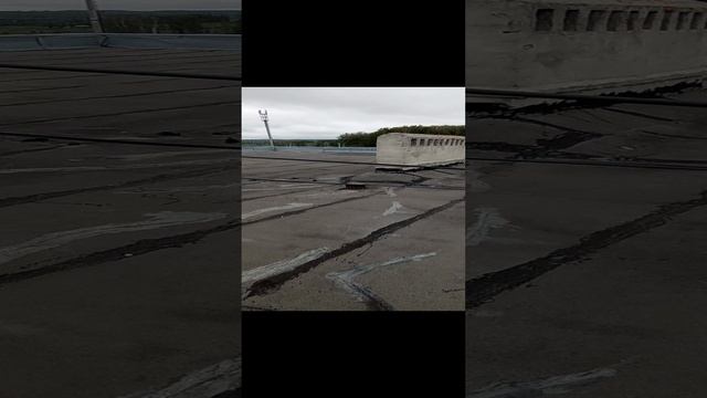 2 день.