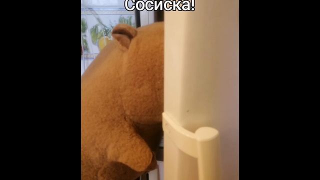Обычное утро Семейства моих капибар