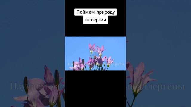 Аллергены
