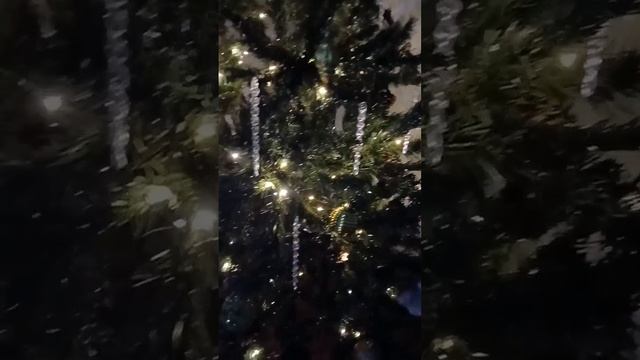 1000005383.mp4