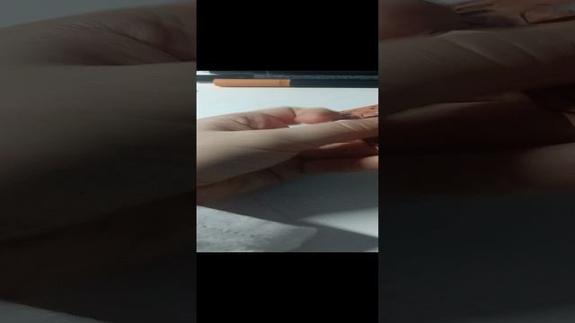 новая собака!