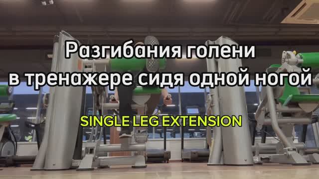 Разгибания голени в тренажере сидя одной ногой (SINGLE LEG EXTENSION)