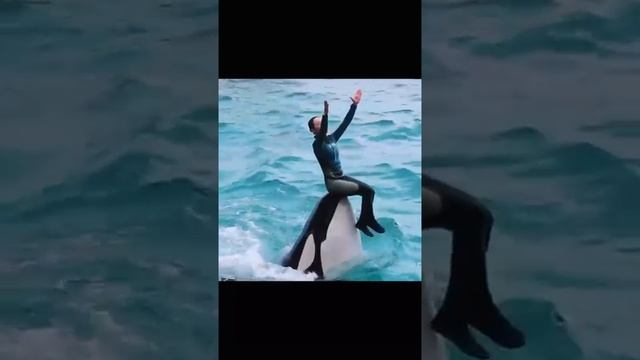 @uservihud575e0=201978.mp4