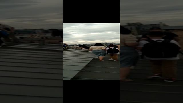 по крышам Петербурга