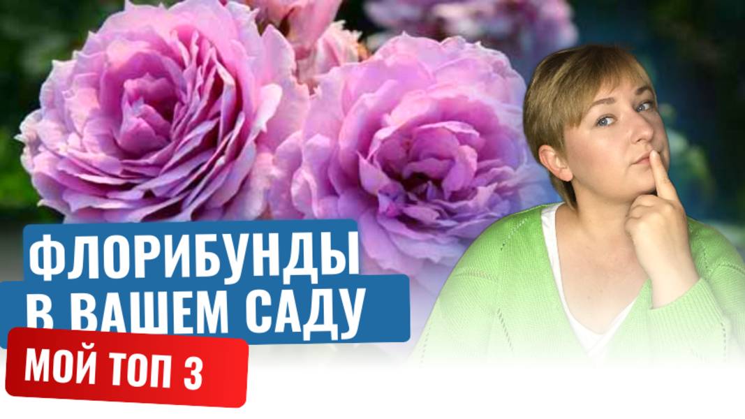 Эти флорибунды выглядят как из сказки: 3 волшебных сорта!